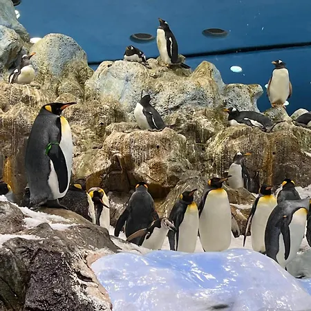 شقة Casa Tatiana بويرتو ذي لا كروز