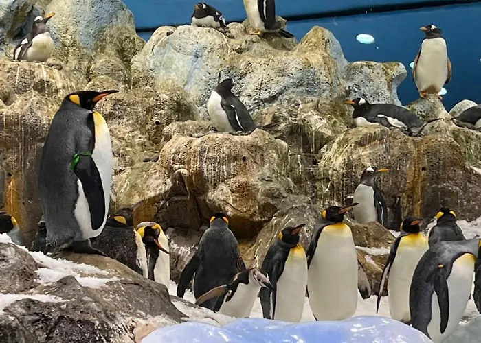 Lejlighed Casa Tatiana Puerto de la Cruz (Tenerife)